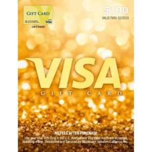 Visa $100 Gift Card